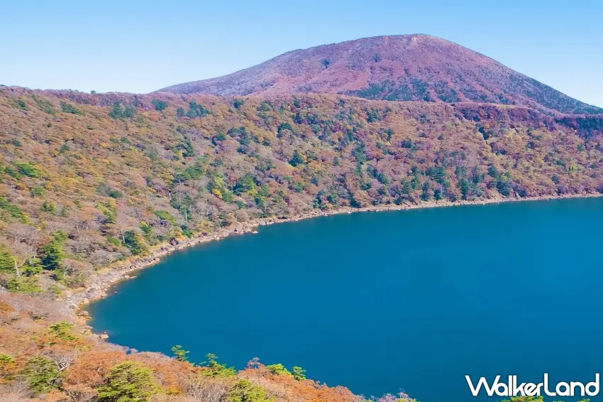 ▲九州賞楓還能看到這種夢幻火山湖!霧島大浪池被整圈秋色包圍,湛藍湖水搭配紅黃交錯的山林,從高處俯瞰就像一幅巨大的秋季風景畫。圖/霧島市提供;窩客島整理