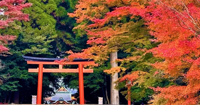 日本九州賞楓別只去京都！鹿兒島霧島7大紅葉景點11月接力變色，火山湖、神宮紅葉隧道美到12月