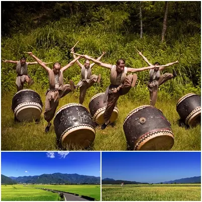 被稻浪包圍的草原音樂會，聽見金色音符在田野中震撼響起…