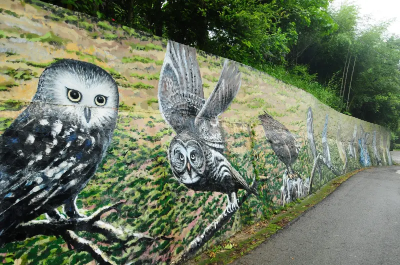 貓頭鷹生態休閒農場