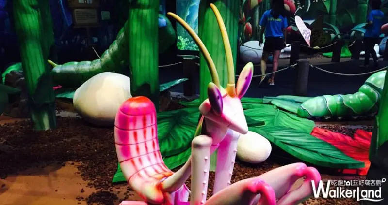 FUN大森林的冒險旅程特展