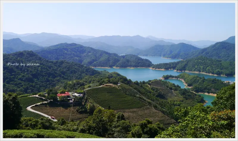 【石碇秘境】台灣千島湖。潭腰。八卦茶園