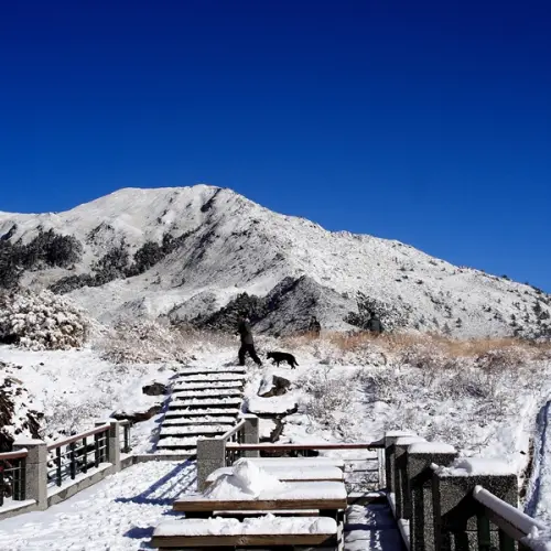 平地超強寒流！高山正式進入台灣雪季！合歡山賞雪去！