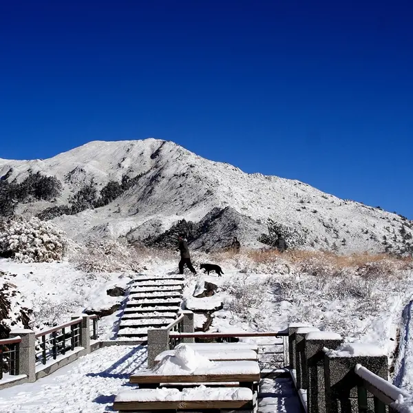 平地超強寒流！高山正式進入台灣雪季！合歡山賞雪去！