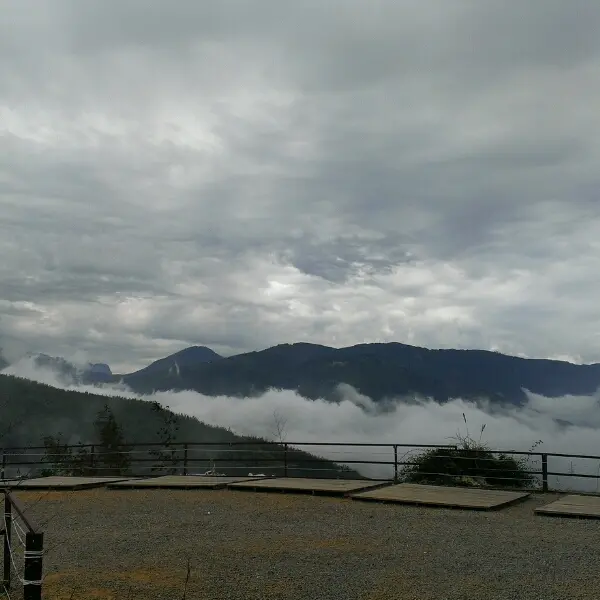 深山林內露營區