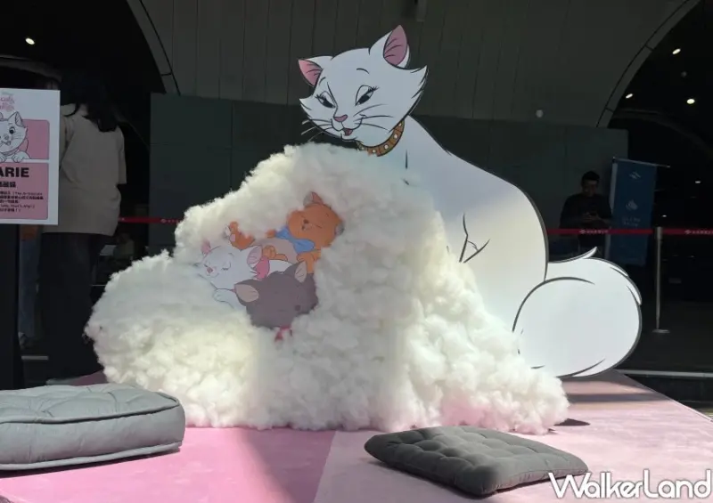 4米魯斯佛貓奴尖叫！台北捷運Ｘ迪士尼樂園免費拍，全新彩繪列車進站。