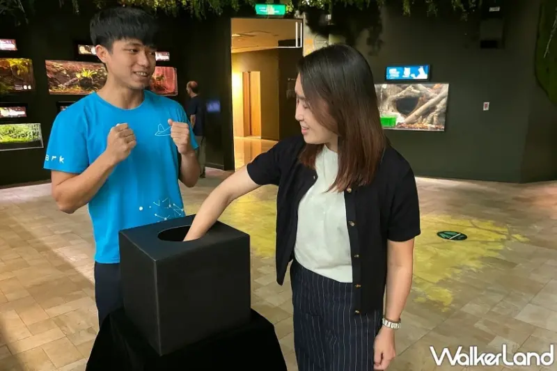 Xpark冬季限定戀愛物語登場！沉浸式光影展、海獅告白拿鐵與雙人套票開啟浪漫海洋約會。