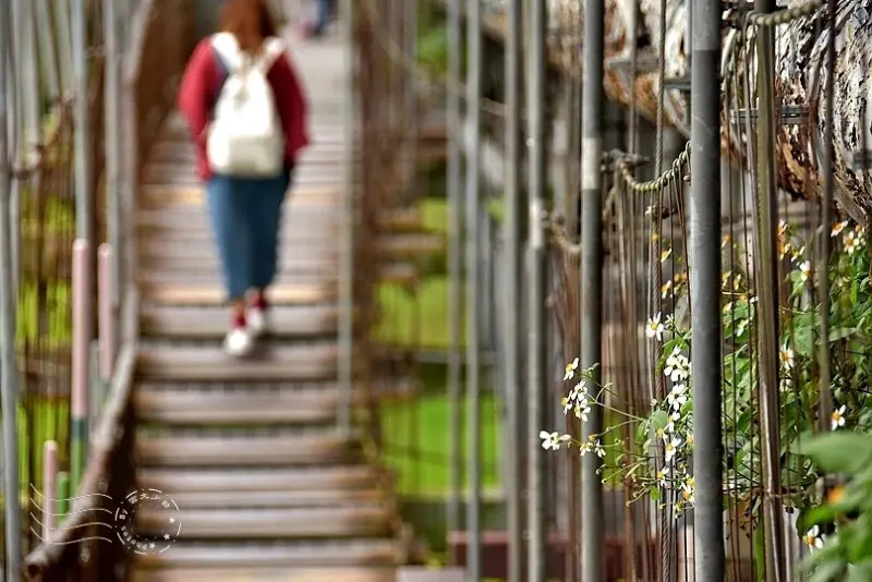 慶和橋津梅棧道