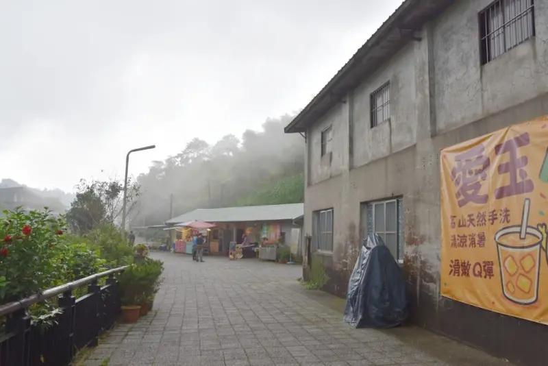 嘉義梅山一日遊行程推薦｜金牌農村太平社區 太平雲梯 太平老街