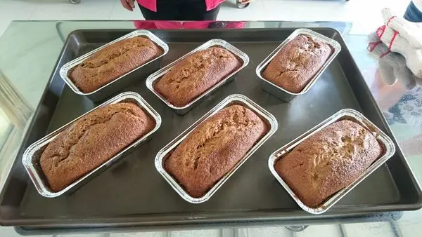 【雲林】製作蜂蜜點心、蜜蜂養蜂體驗等 親子遊樂景點『田蜜園養蜂農場』