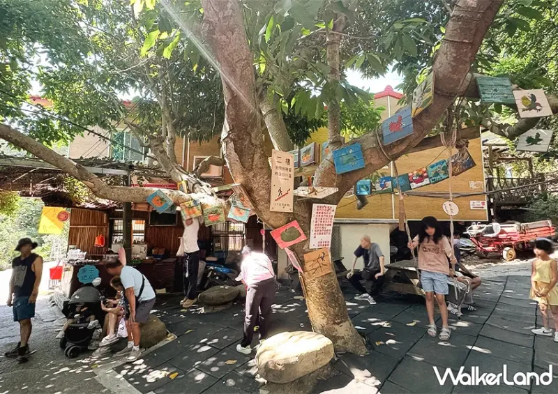 新竹柿餅季來了！味衛佳柿餅觀光農場 整片柿餅海超好拍，30元柿餅冰必吃。