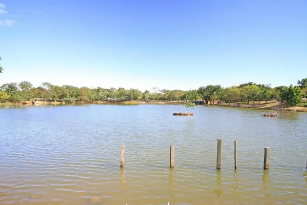 【桃園旅遊景點】八德埤塘生態公園-腹地廣大的親子公園