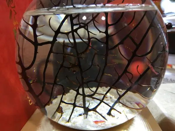 ▋吃喝玩樂 ▋勝洋休閒農場part2 ❤ 好想集滿一整排生態瓶