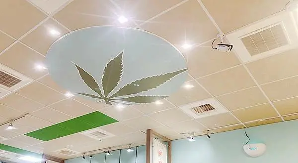 桃園火鍋【大麻鍋物藝文店】可以解惑火鍋店，還是個被火鍋店耽誤