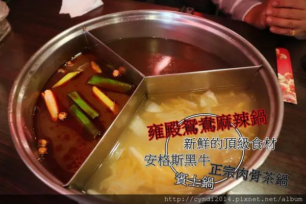 【桃園中壢】雍殿鴛鴦麻辣鍋 桃園中壢火鍋吃到飽 頂級肉品 手作火鍋料 一定要嚐嚐 