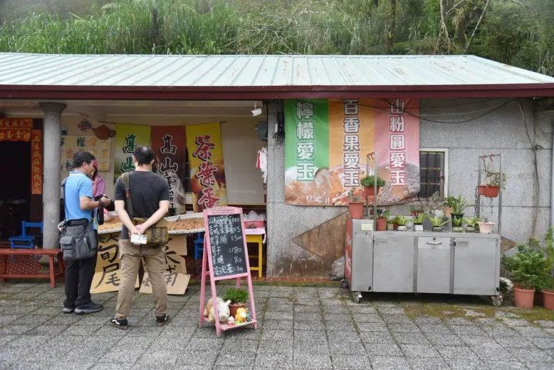 嘉義梅山一日遊行程推薦｜金牌農村太平社區 太平雲梯 太平老街