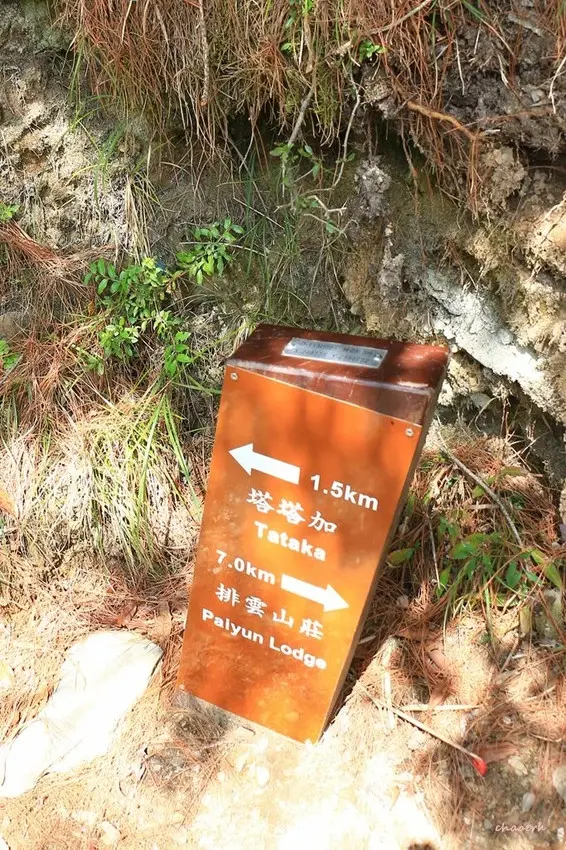 【百岳】玉山前峰(二刷)一日單攻《 3個小隊友(3歲7歲