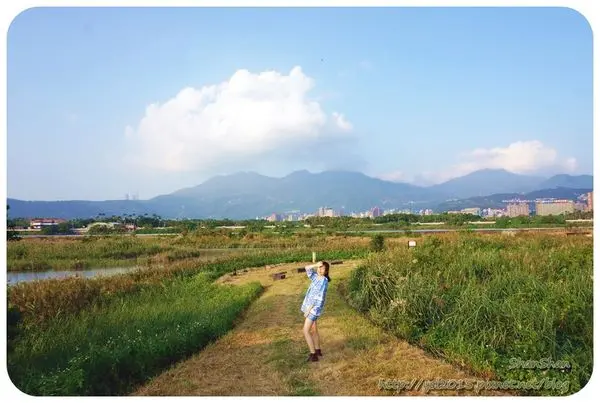 「LILI KOKO」- 鐵皮玻璃屋cafe！偽花東美景！+「社子島濕地」&「島頭公園」半日遊