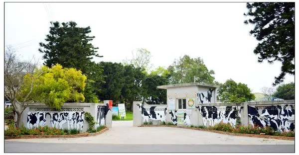 苗栗竹南~四方鮮乳牧場(二訪)