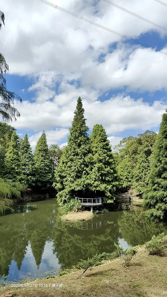 2025桃園長庚養生村落羽松最新現況分享，9/27現場直擊，