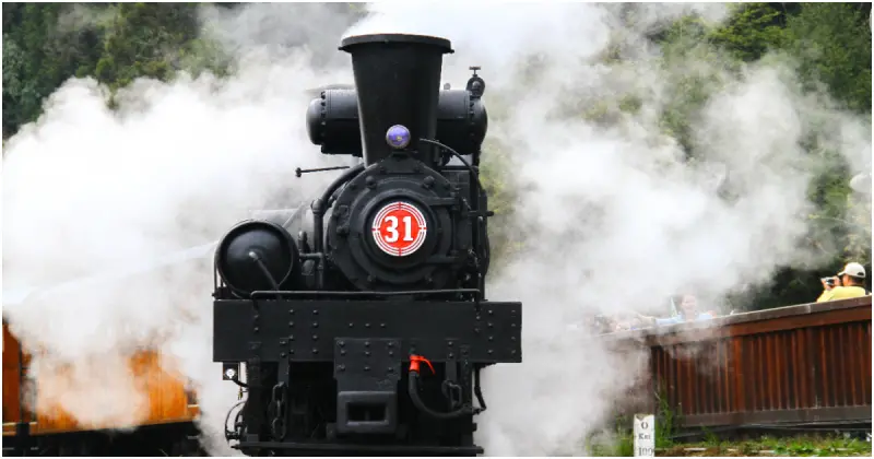 阿里山百年蒸汽火車開跑！日出雲海、暑假森林小火車，限定行程開放預訂。