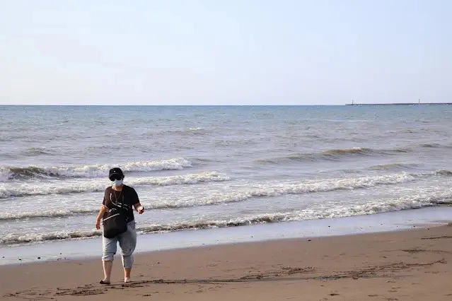 新屋濱海林蔭沙洲 (西濱公路)