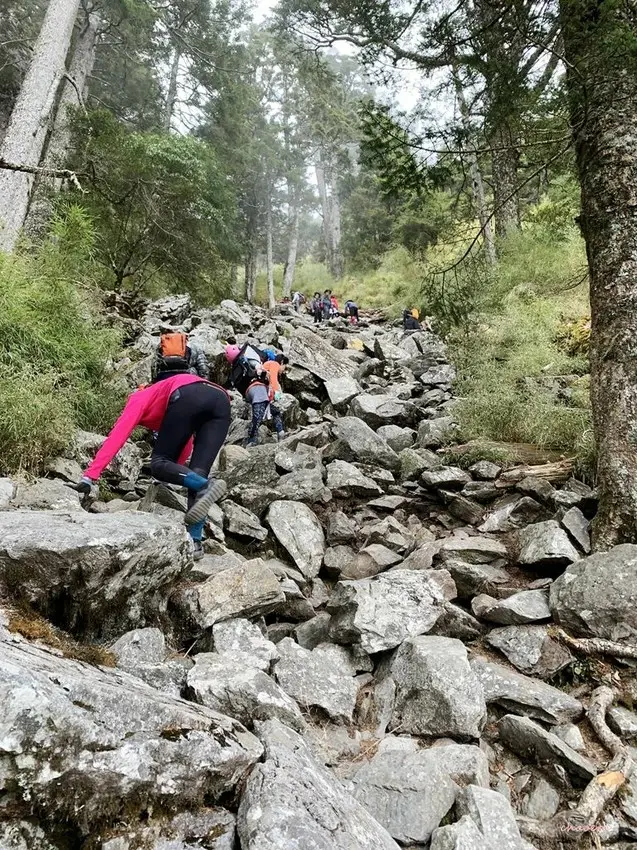 【百岳】玉山前峰(二刷)一日單攻《 3個小隊友(3歲7歲