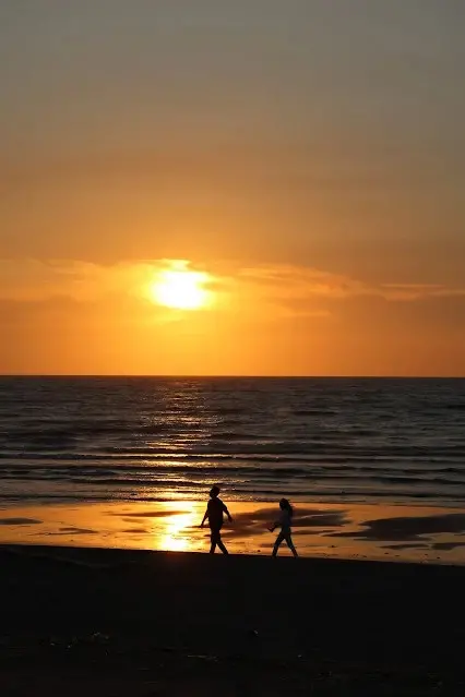 新屋濱海林蔭沙洲 (西濱公路) - 夕陽 - 情侶