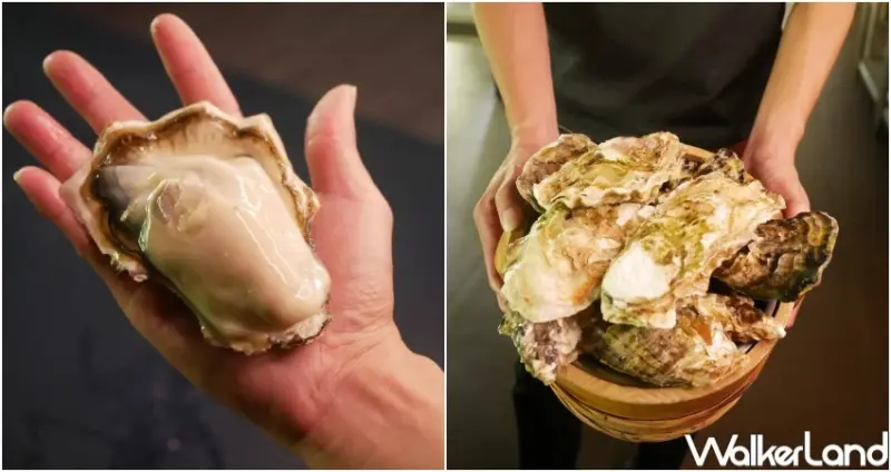 火鍋吃到飽送生蠔！千葉火鍋11月優惠送生蠔 免費哈根達斯，加碼翻轉布丁任你吃。