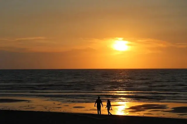 新屋濱海林蔭沙洲 (西濱公路) - 夕陽 - 情侶