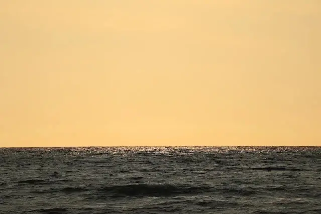 新屋濱海林蔭沙洲 (西濱公路)