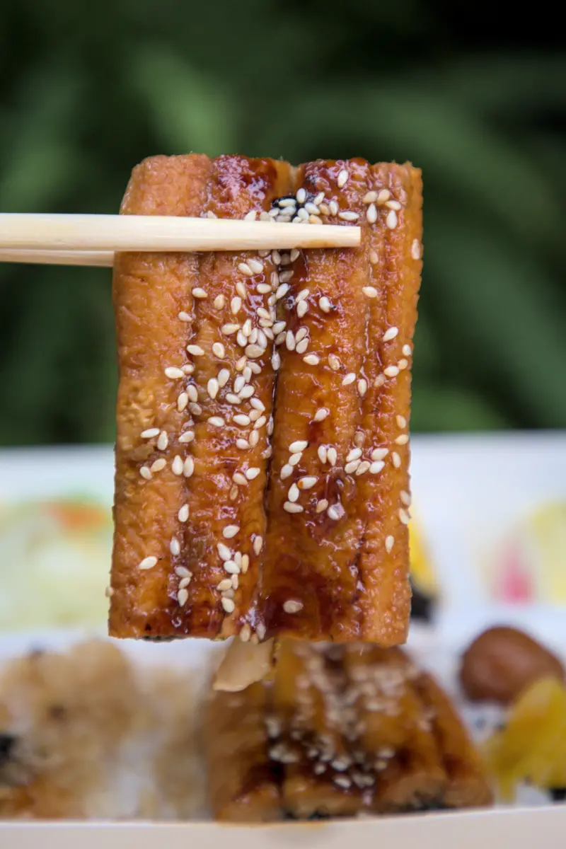 紅蕃茄鰻魚飯，用筷子夾起一片蒲燒鰻魚，展示魚肉的厚度與醬汁的濃郁，金黃油亮的外表與Q彈的肉質，讓人垂涎欲滴。