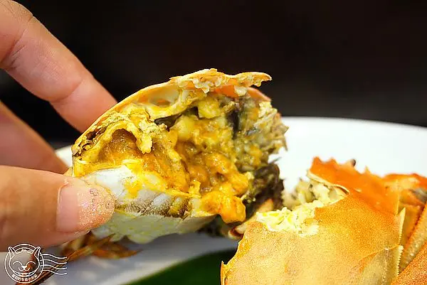 ※ Mr.壽司創意料理 ※【星羽愛美食-台北樹林】高CP值中價位日本料理，自營鮮貨自肥客戶，海鮮樣樣新鮮美味到不行~        
      