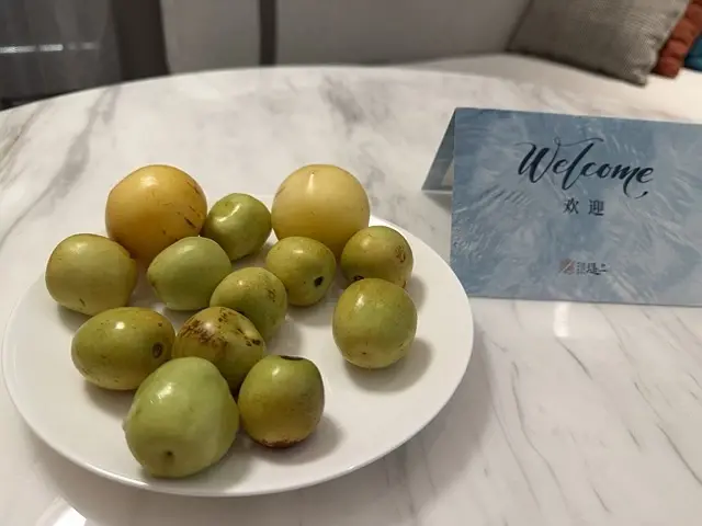 2025蟹逅故事江南D3. 10/20㊀📸烏鎮風景區、和合二