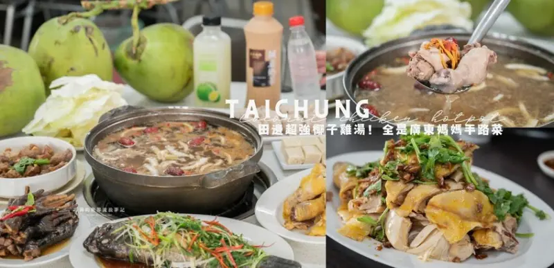 台中高鐵附近超強椰子雞湯，湯頭清甜溫潤香氣滿分！全是廣東媽媽的手路菜