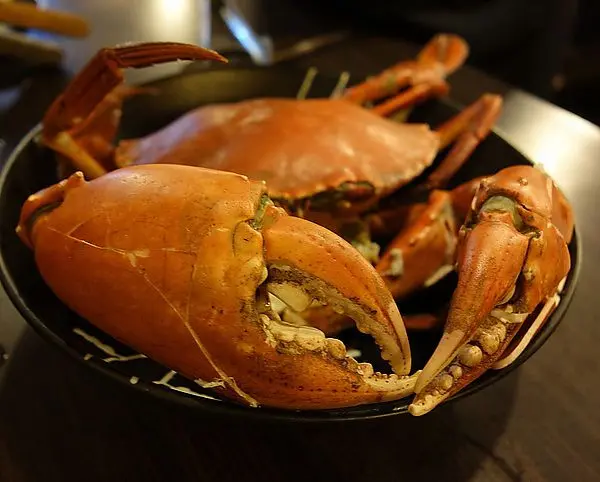 台北吃喝玩樂 八腳老大粥火鍋(((台北行必吃餐廳之一)))