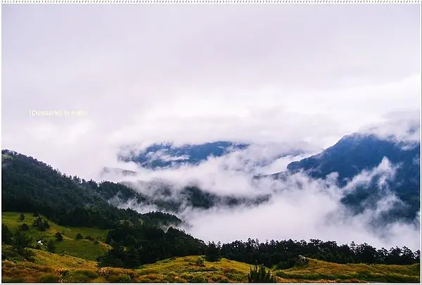 ｜南投｜我在8度合歡山山上