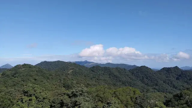 五分山氣象雷達站 - 芒草
