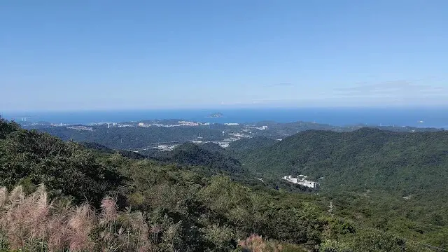 五分山氣象雷達站 - 芒草