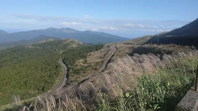 五分山氣象雷達站 - 芒草