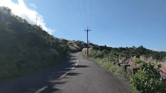 五分山氣象雷達站 - 芒草