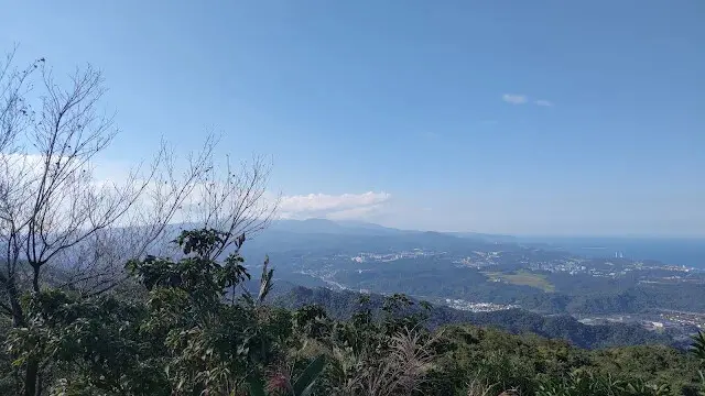 五分山氣象雷達站 - 芒草