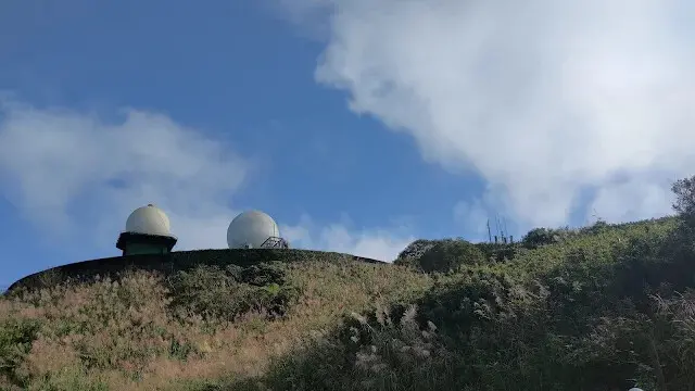 五分山氣象雷達站 - 芒草