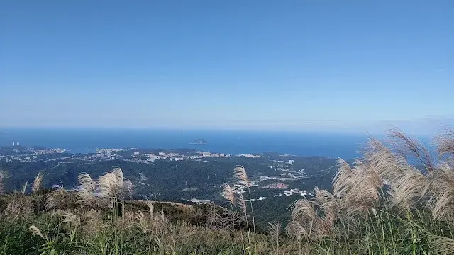 五分山氣象雷達站 - 芒草