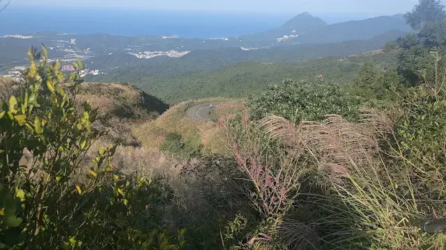 五分山氣象雷達站 - 芒草