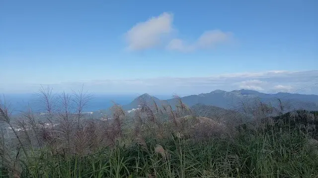 五分山氣象雷達站 - 芒草