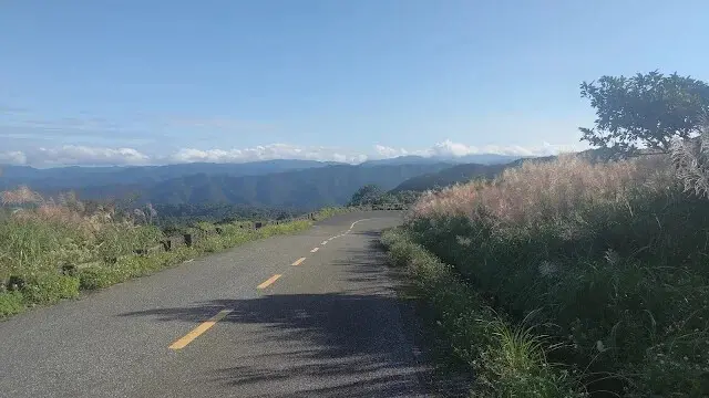 五分山氣象雷達站 - 芒草