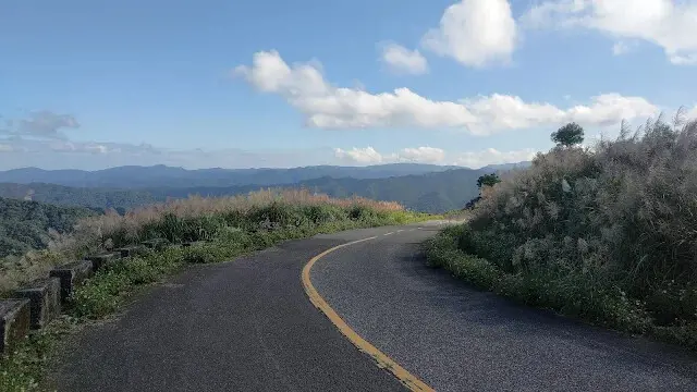 五分山氣象雷達站 - 芒草