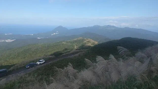 五分山氣象雷達站 - 芒草