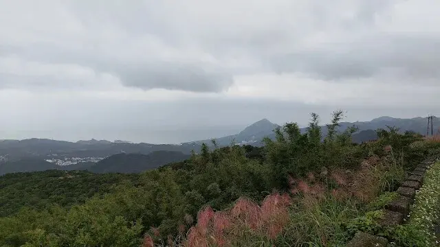 五分山氣象雷達站 - 芒草